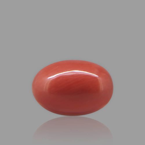 Red Coral - 4.34 Carat