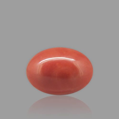Red Coral - 4.32 Carat