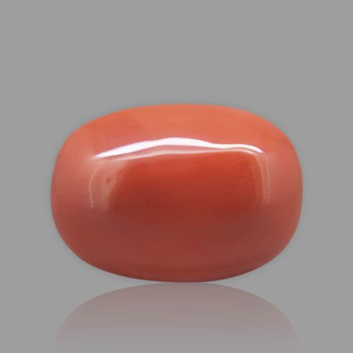 Red Coral - 15.17 Carat