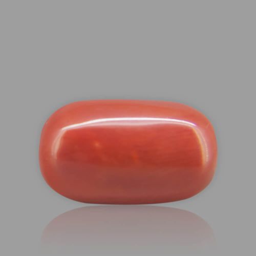 Red Coral - 10.65 Carat