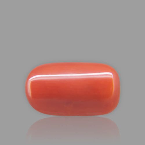 Red Coral - 8.60 Carat