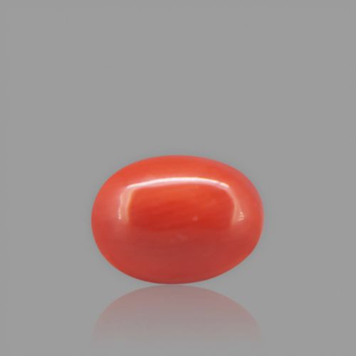 Red Coral - 1.71 Carat