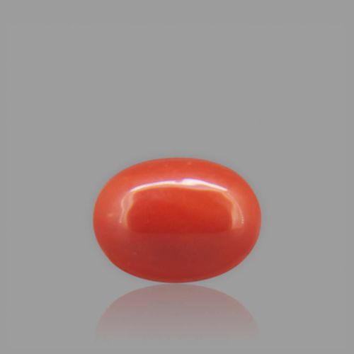 Red Coral - 1.76 Carat