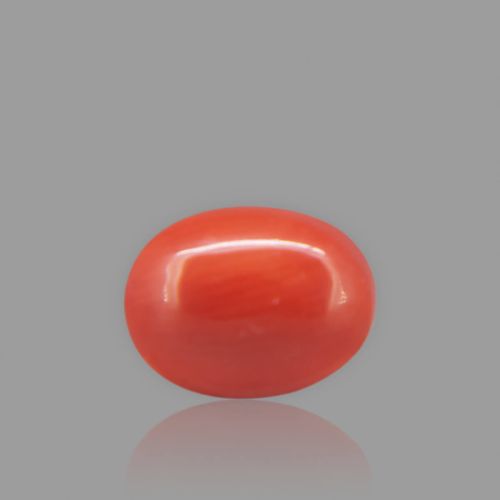 Red Coral - 2.11 Carat