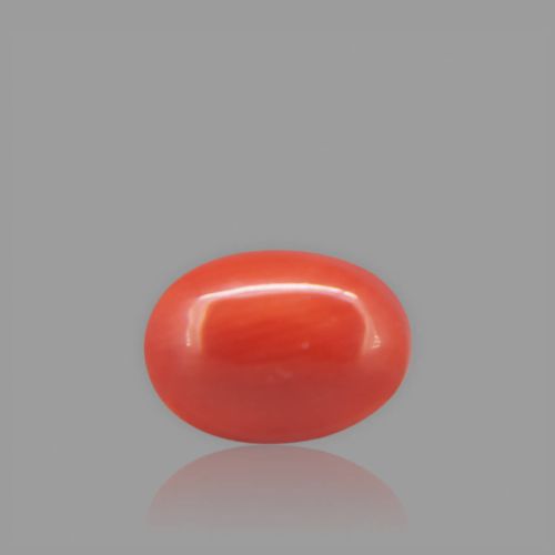 Red Coral - 1.88 Carat