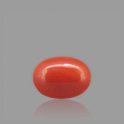 Red Coral - 1.67 Carat