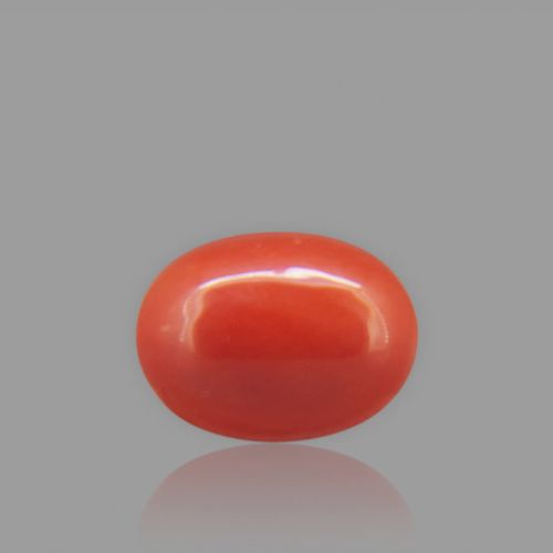 Red Coral - 1.92 Carat
