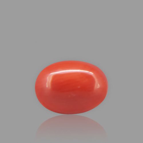 Red Coral - 2.20 Carat