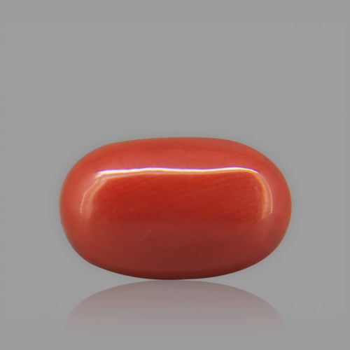 Red Coral - 7.32 Carat