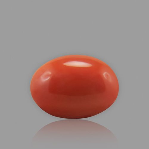 Red Coral - 5.91 Carat