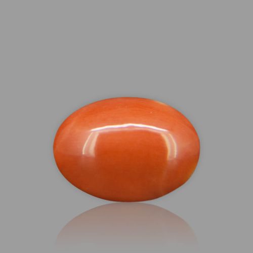 Red Coral - 6.64 Carat