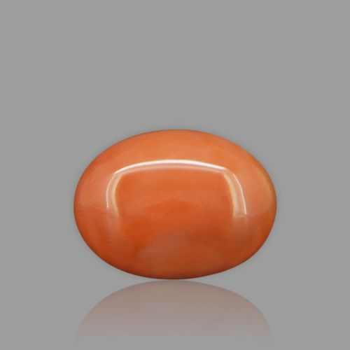 Red Coral - 8.40 Carat