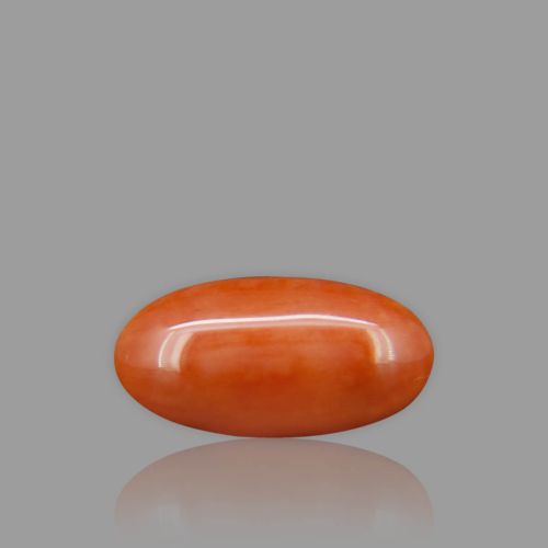 Red Coral - 9.04 Carat
