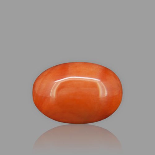 Red Coral - 10.10 Carat