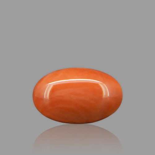 Red Coral - 10.54 Carat