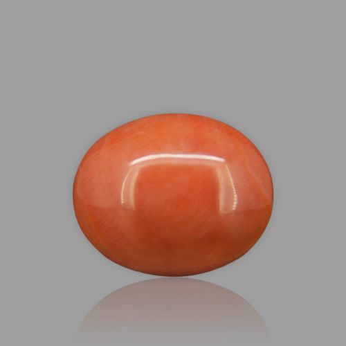 Red Coral - 12.40 Carat