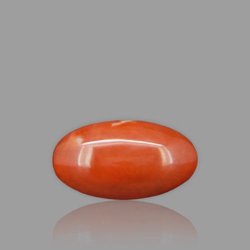 Red Coral - 14.14 Carat