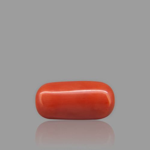 Shubh Gems Red Coral - 7.53 Carat