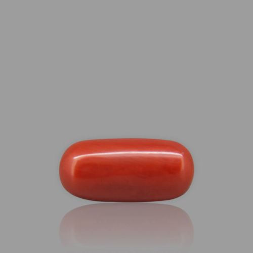 Shubh Gems Red Coral - 5.00 Carat