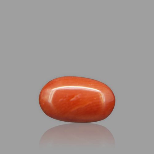 Natural Red Coral - 2.80 Carat