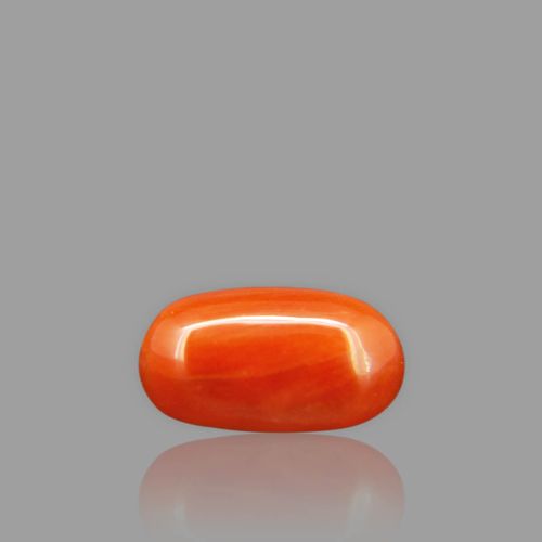 Natural Red Coral - 3.26 Carat