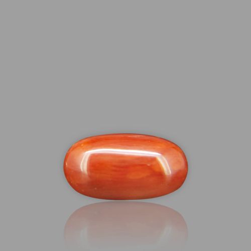 Natural Red Coral - 2.67 Carat