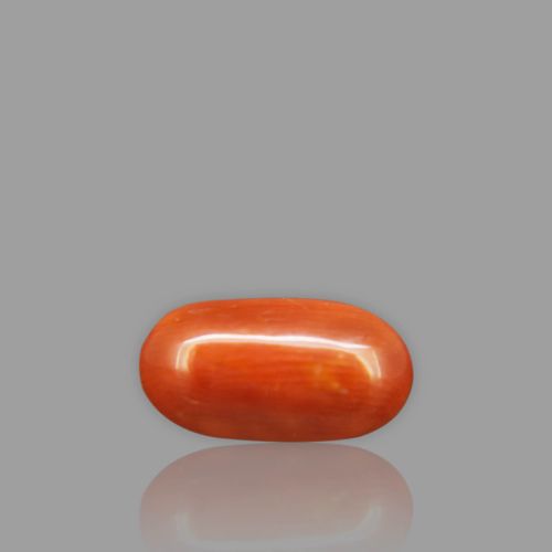 Natural Red Coral - 3.00 Carat