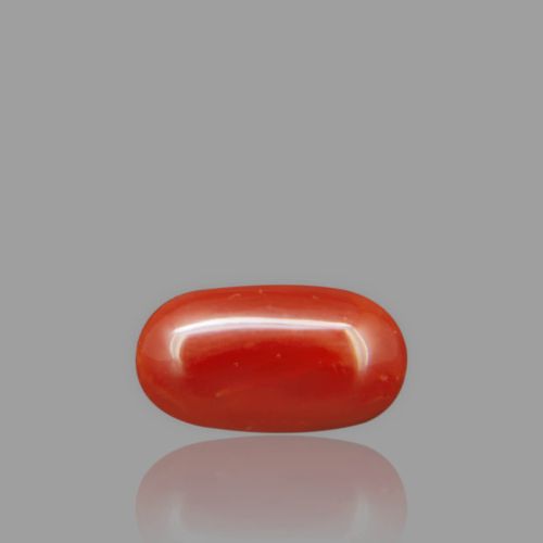 Natural Red Coral - 2.79 Carat