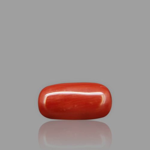 Natural Red Coral - 3.05 Carat