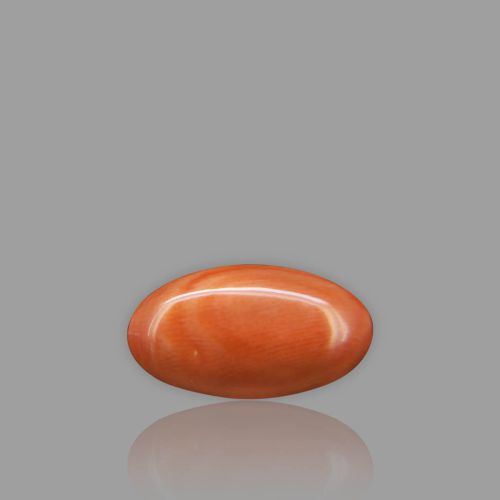Natural Red Coral - 6.32 Carat