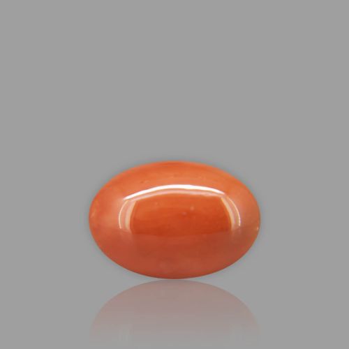 Natural Red Coral - 6.03 Carat