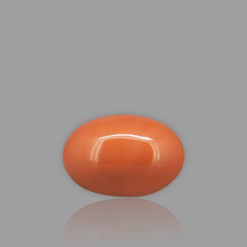 Natural Red Coral - 9.85 Carat