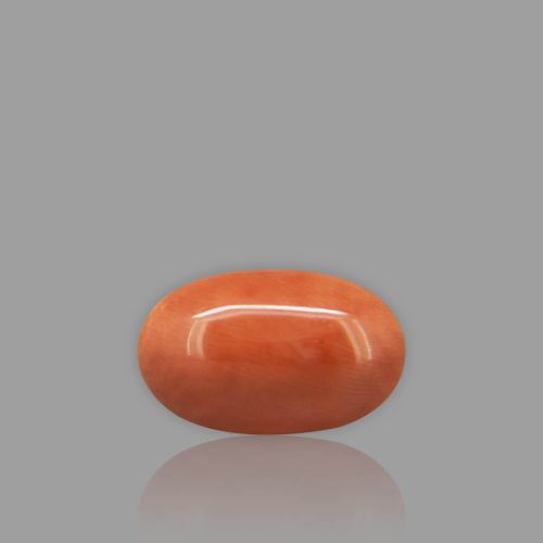 Natural Red Coral - 6.87 Carat