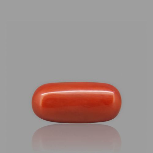 Natural Red Coral - 6.07 Carat
