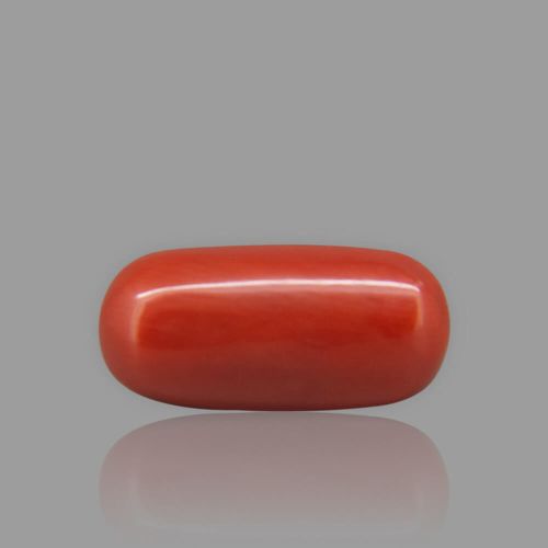 Natural Red Coral - 6.06 Carat