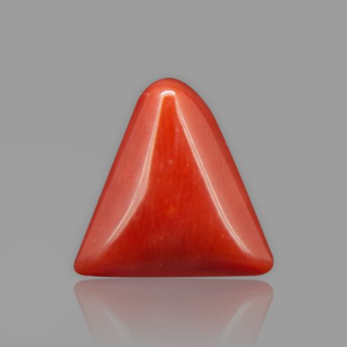 Natural Red Coral - 6.24 Carat