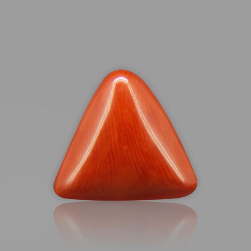 Natural Red Coral - 6.49 Carat