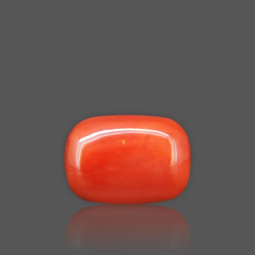 Natural Red Coral - 16.00 Carat