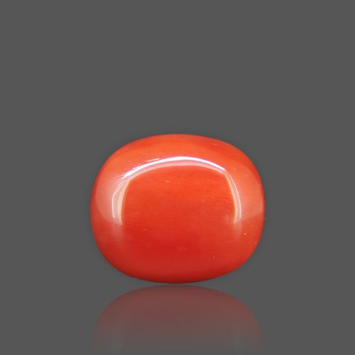 Natural Red Coral - 18.03 Carat