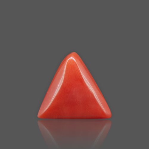 Natural Red Coral - 13.30 Carat
