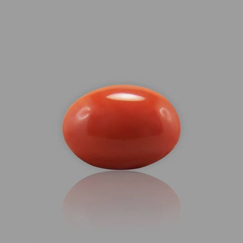 Red Coral (Moonga) Japanese - 10.80 Carat (12.00 Ratti)