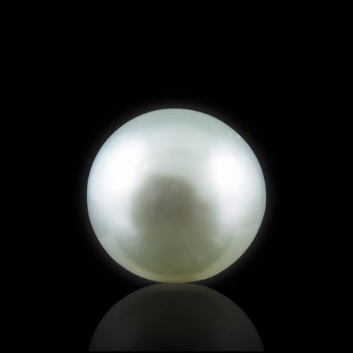 South Sea Pearl - 5.55 Carat