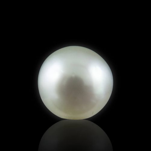 South Sea Pearl - 9.13 Carat