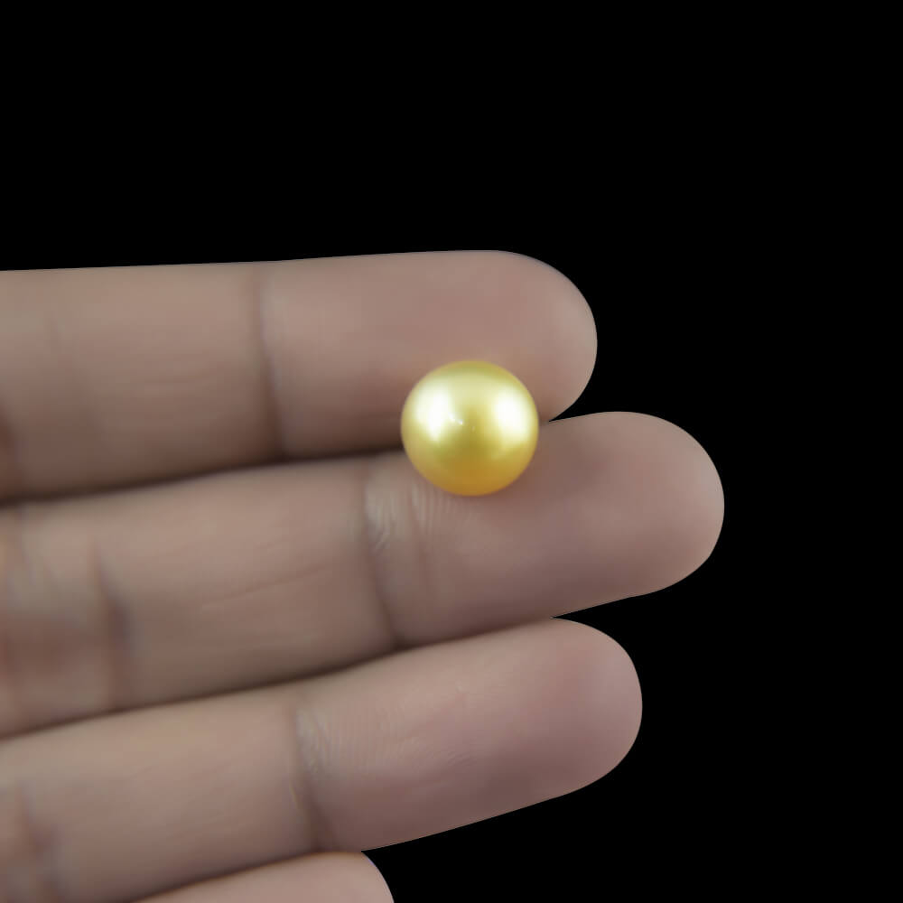 Golden Sea Pearl - 8.86 Carat (10.00 Ratti)