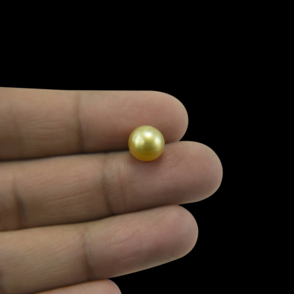 Golden South Sea Pearl - 4.47 Carat