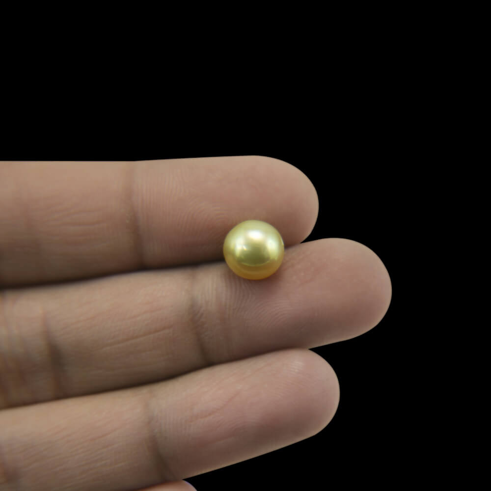 Golden South Sea Pearl - 4.56 Carat