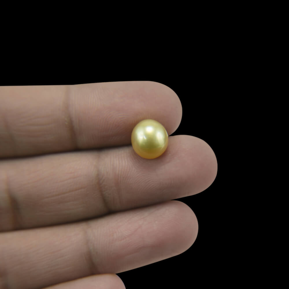 Golden South Sea Pearl - 5.27 Carat
