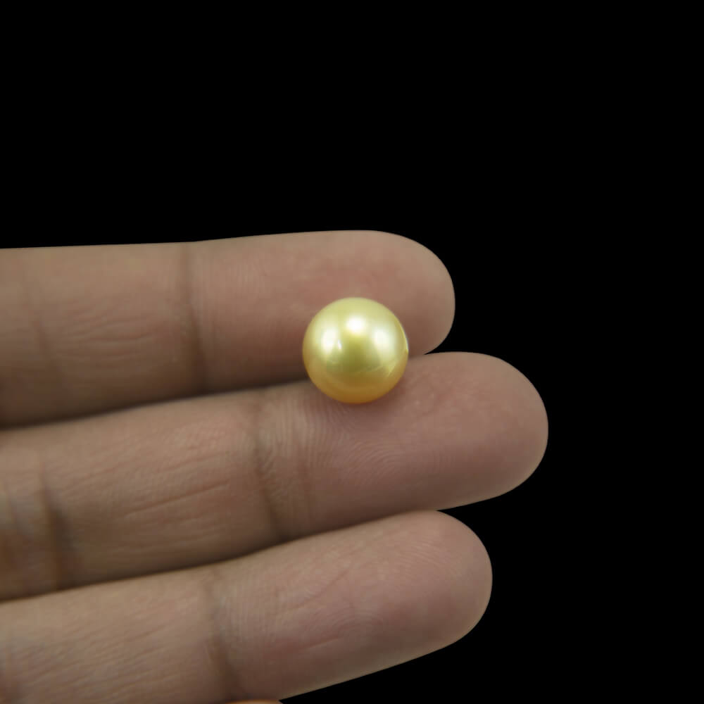 Golden Sea Pearl - 8.23 Carat (9.15 Ratti)