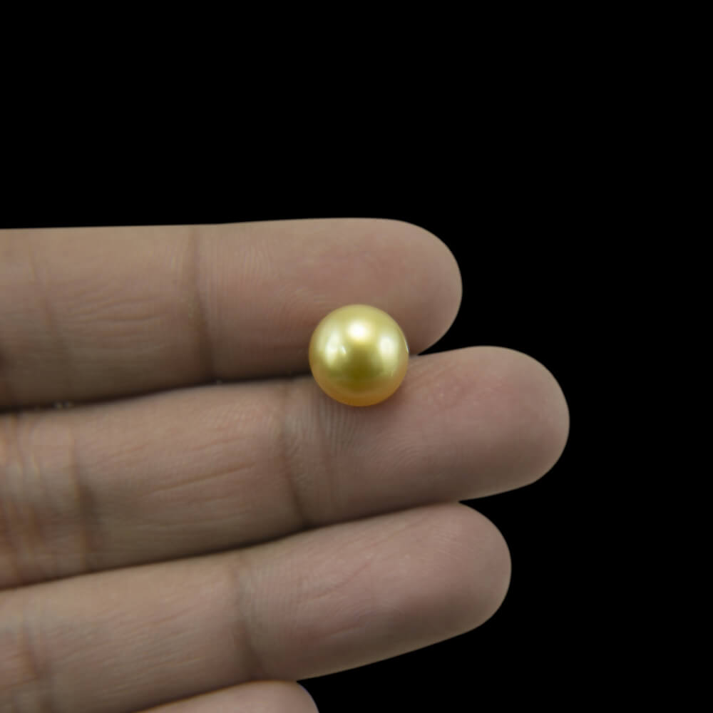 Golden Sea Pearl - 7.48 Carat (8.25 Ratti)