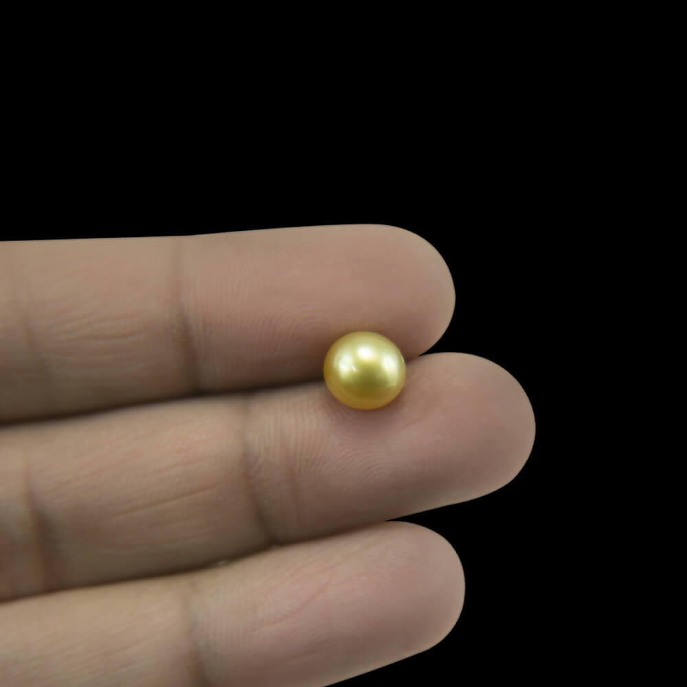 Golden South Sea Pearl - 3.43 Carat
